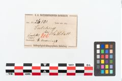 Etikett zu Bronzearmreif (NHMW-PRAE-026101)